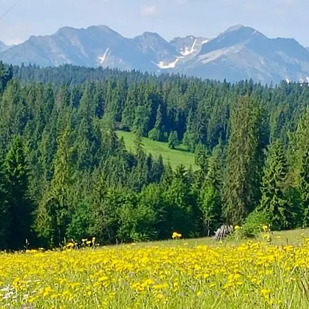 Widokowa * Bukowina Tatrzańska